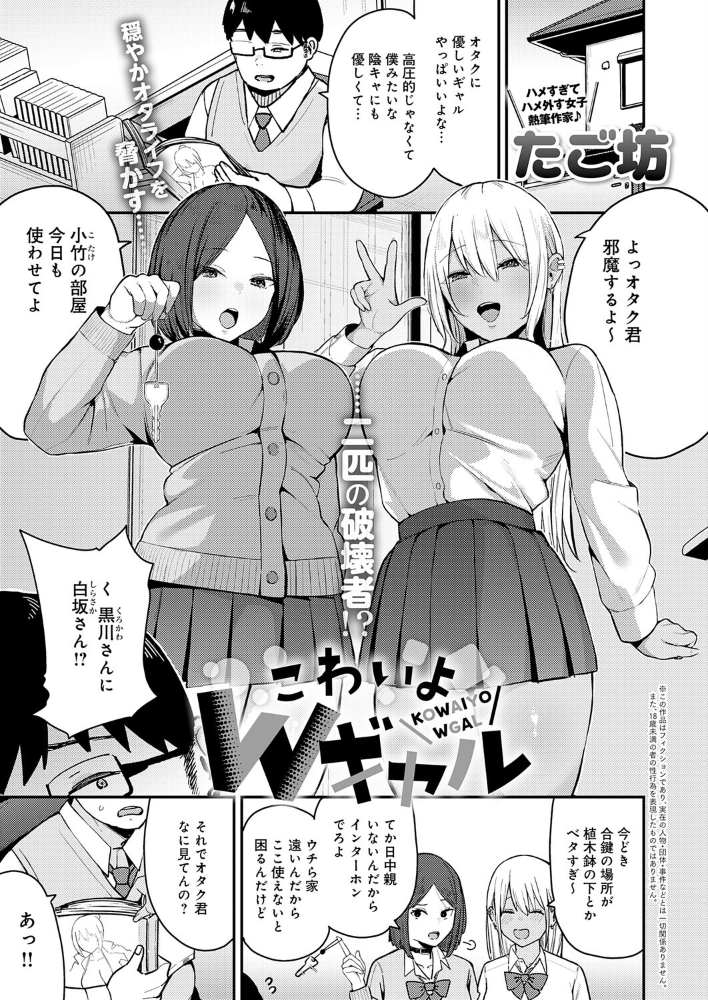 こわいよWギャル 【たご坊 hentai アダルト漫画】 サンプル画像