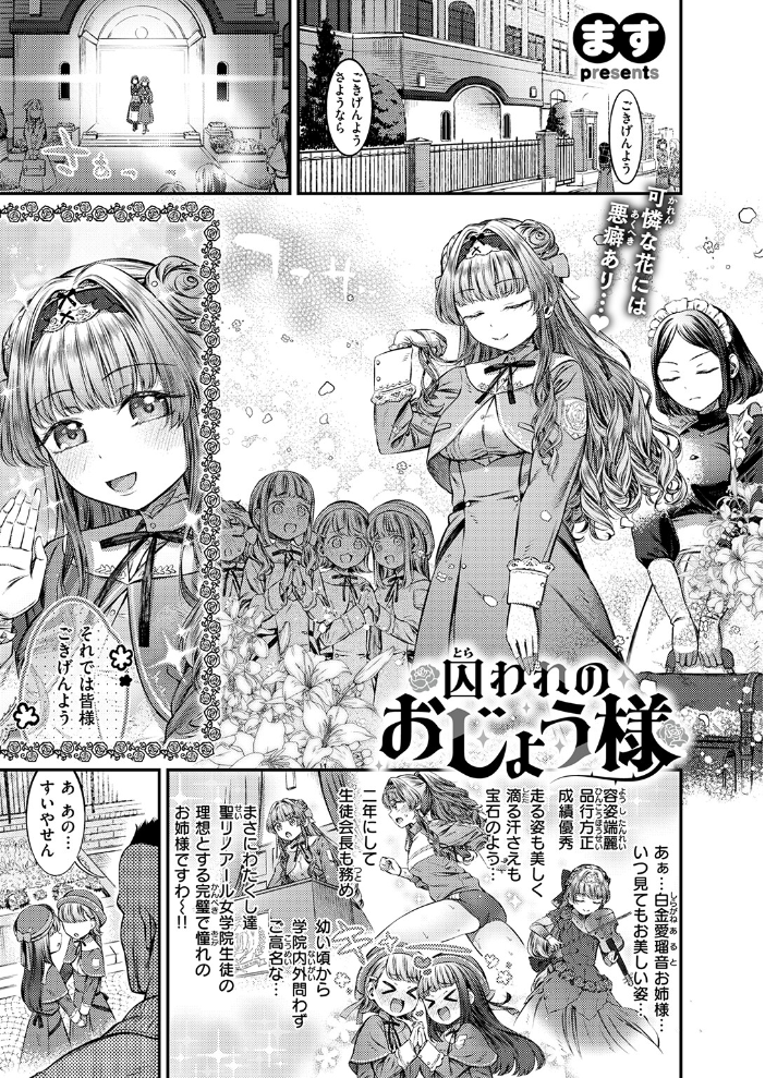 囚われのおじょう様 【ます hentai アダルト漫画】 サンプル画像