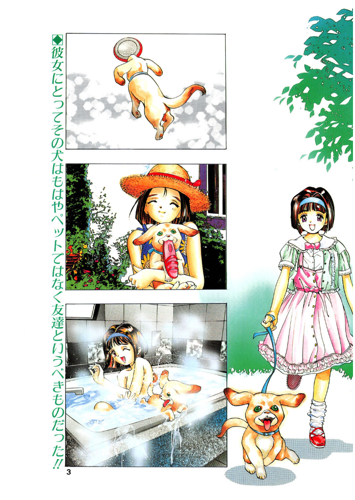 COMICペンギンクラブ1998年2月号 【飛龍乱 鬼窪浩久 hentai アダルト漫画】 サンプル画像
