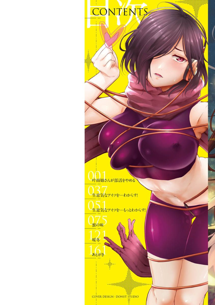 キミとシたいお姉さん  蒼井ミハル サンプル画像