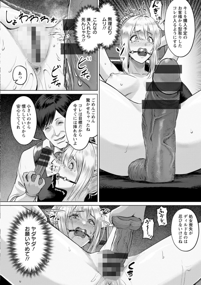 SEX ANARCHY 【池竜静留 hentai アダルト漫画】 サンプル画像