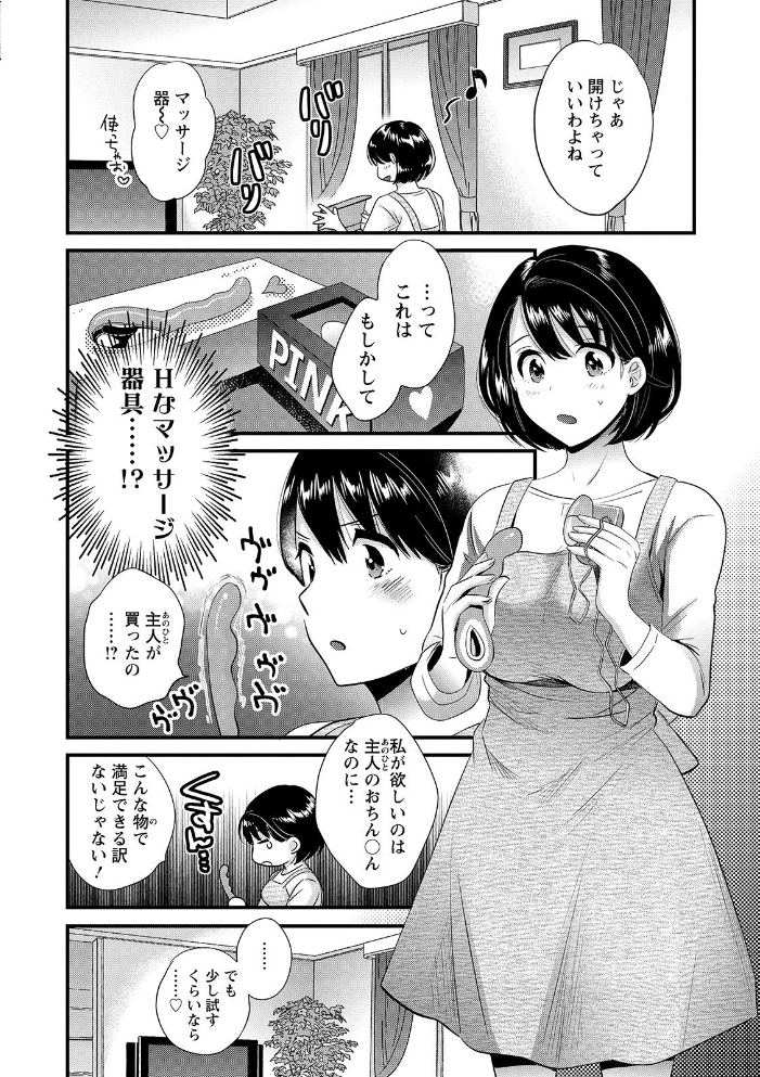 主人には内緒  ポン貴花田 サンプル画像