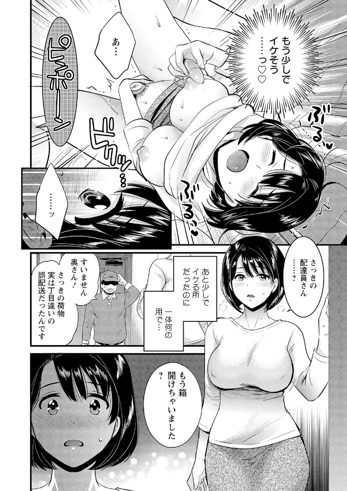 主人には内緒  ポン貴花田 サンプル画像