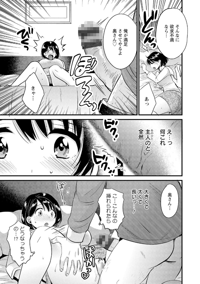 主人には内緒  ポン貴花田 サンプル画像