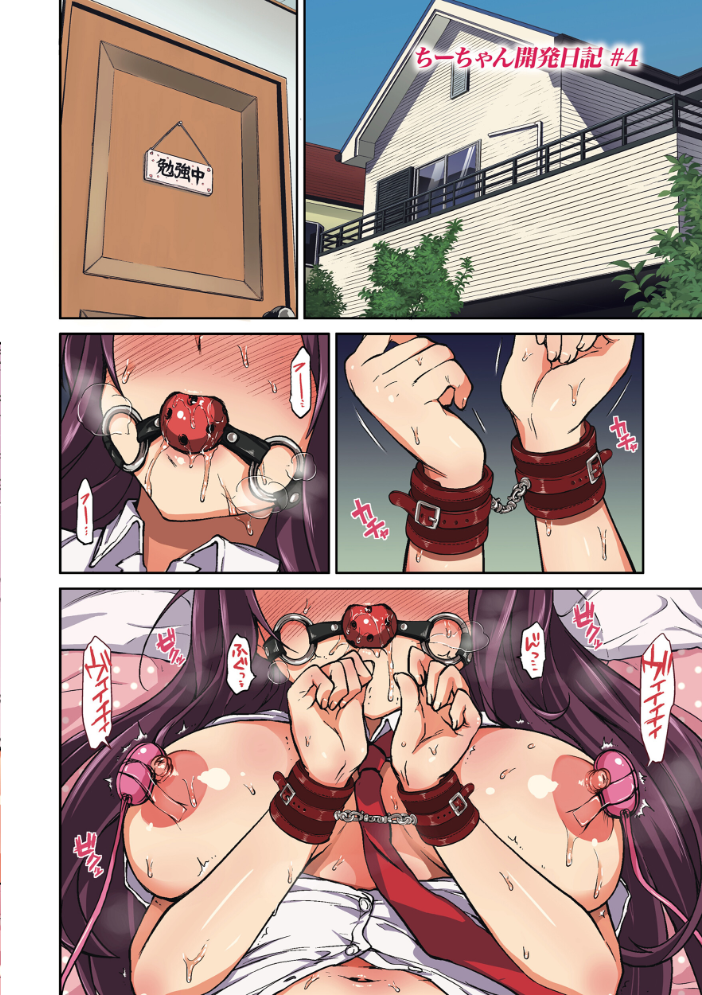 ちーちゃん開発日記【デジタル特装版】 むちゃ サンプル画像