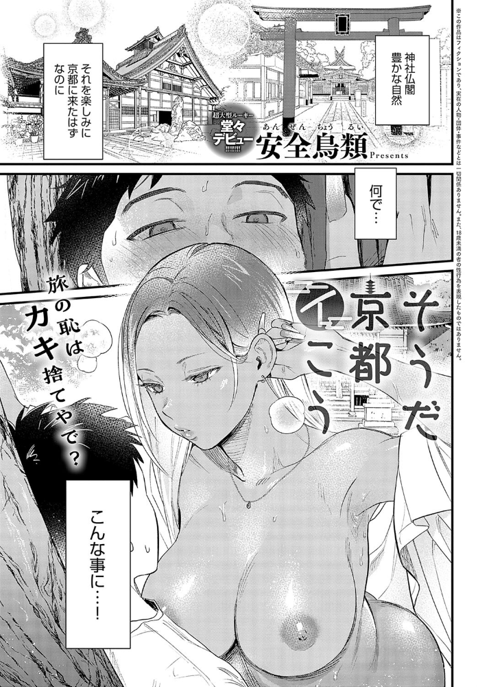 そうだ京都イこう  安全鳥類 サンプル画像