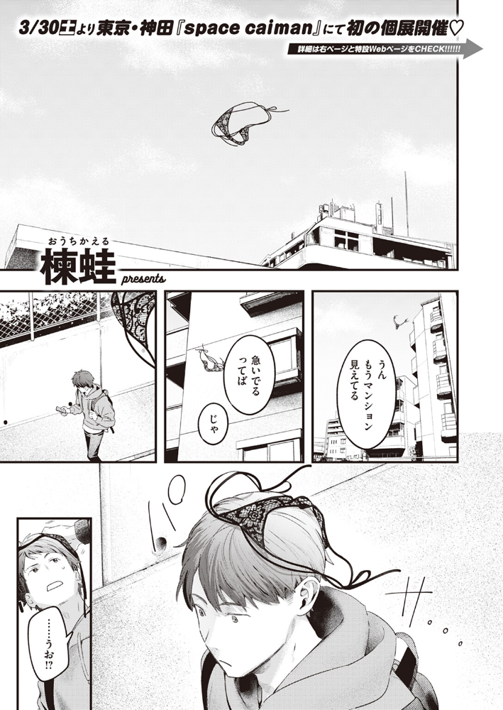 本日の勝負服  楝蛙 サンプル画像