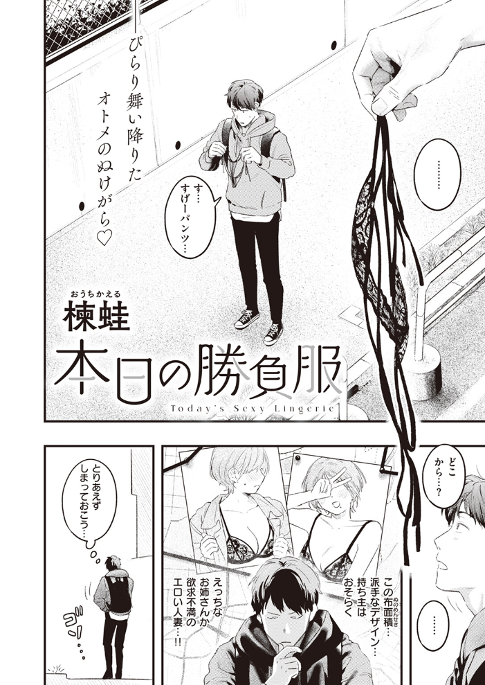 本日の勝負服  楝蛙 サンプル画像