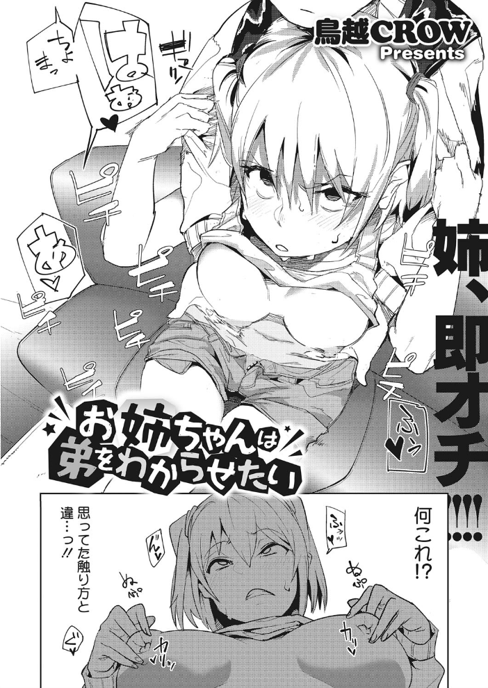 お姉ちゃんは弟をわからせたい 鳥越CROW サンプル画像