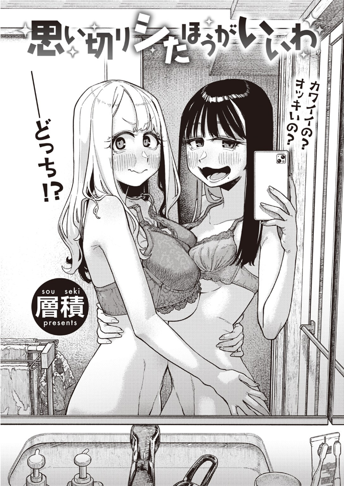 思い切りシたほうがいいわ 層積 サンプル画像