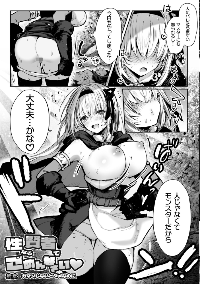 性なる賢者でごめんなさい◆ 第1章ガマンしないとダメなのに  パイレーツキャット サンプル画像