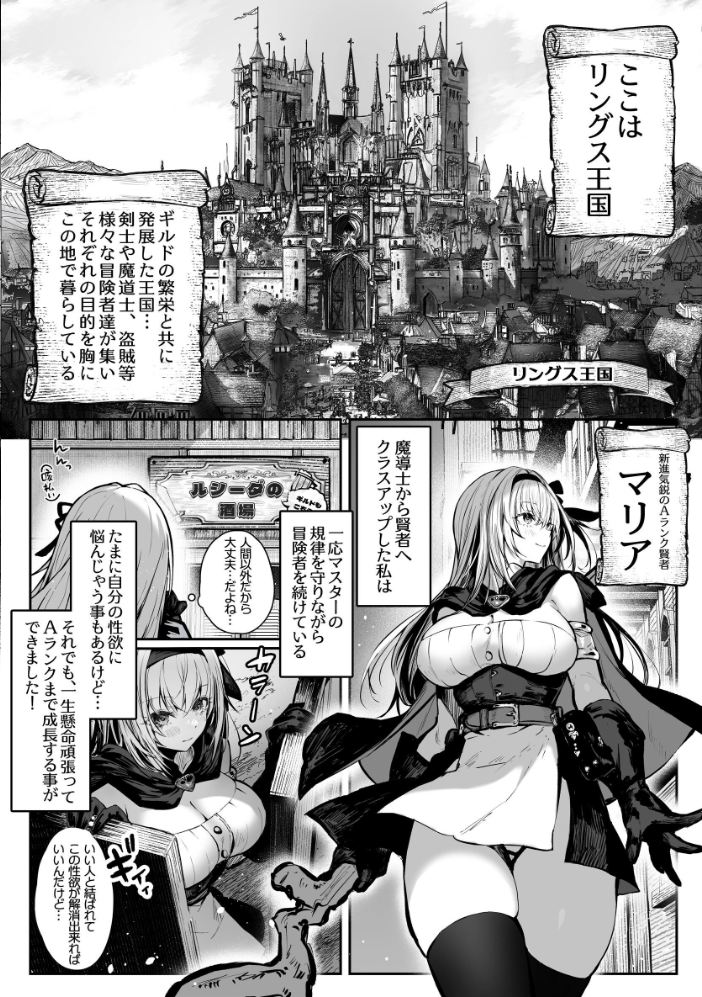 性なる賢者でごめんなさい◆ 第1章ガマンしないとダメなのに  パイレーツキャット サンプル画像