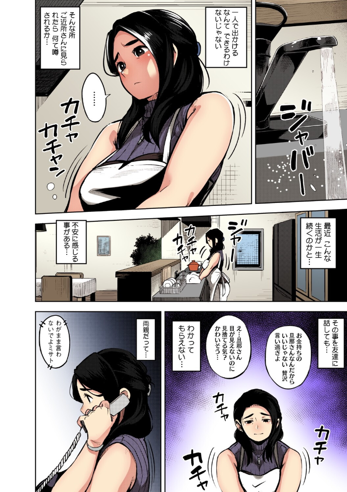 人妻の履歴書【フルカラー版】 ロケットモンキー サンプル画像