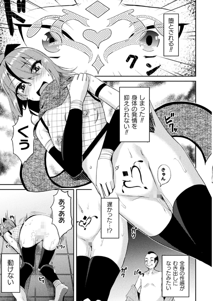 二次元コミックマガジン 悪堕ち孕ませ 正義の美少女悪転受胎Vol.2 仁志田メガネ ダンdann すかいれーだー 秋月十夜 須影 サンプル画像