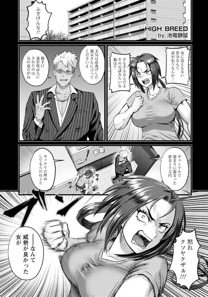 HIGH BREED 〜無敗女王と最強男〜【単話】 池竜静留 サンプル画像