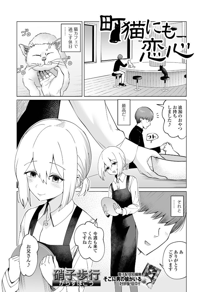 町猫にも恋心 硝子歩行 一水社編集部 サンプル画像