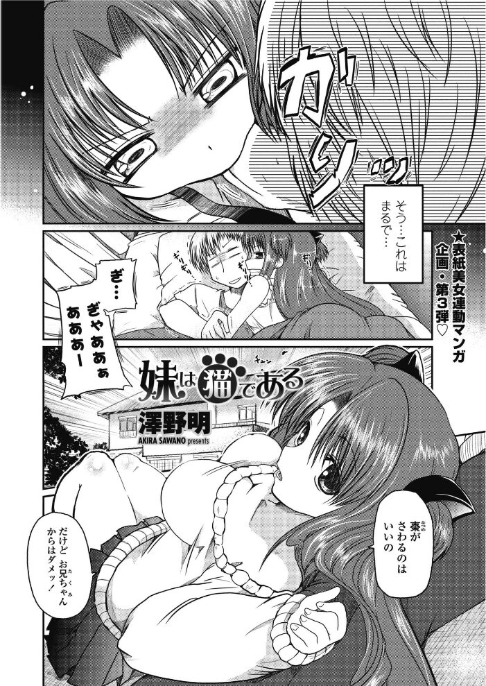 妹は猫である  澤野明 サンプル画像