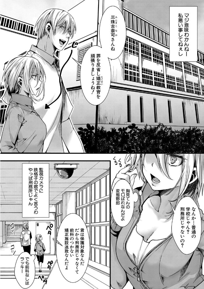 少女A矯正交尾 -人生舐めプ中のメスに肉棒で再教育しちゃいました-【FANZA特装版】  hal サンプル画像