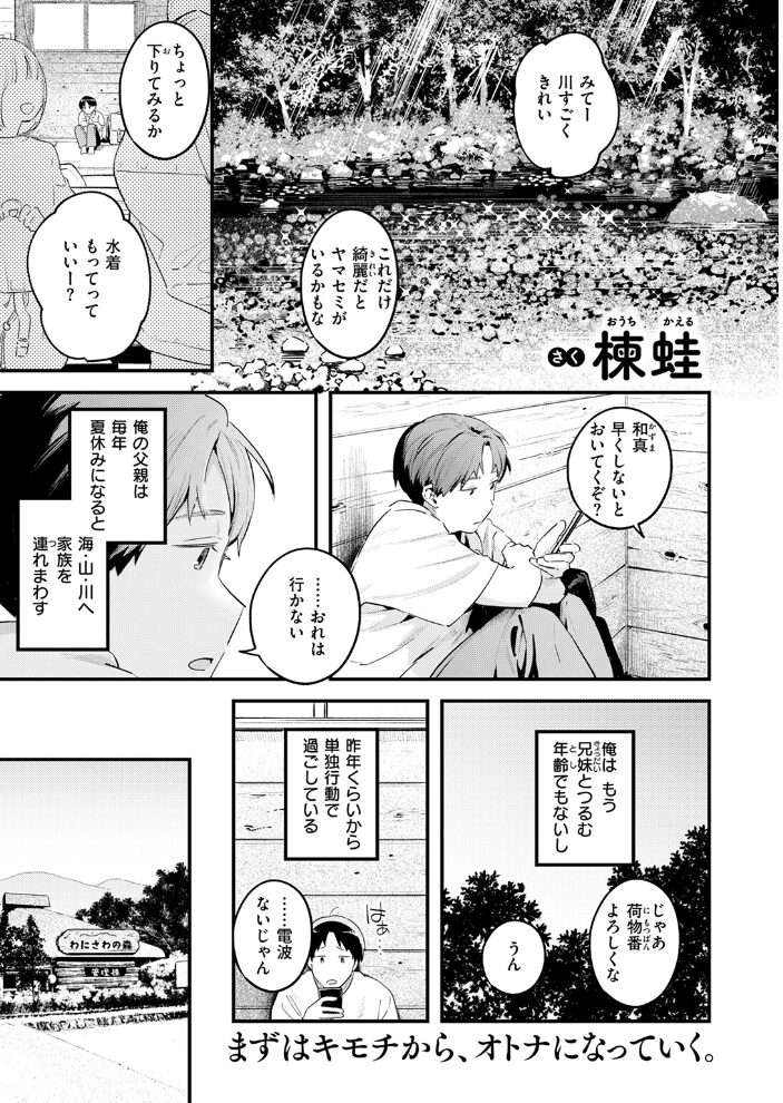 おとなみならい 楝蛙 サンプル画像