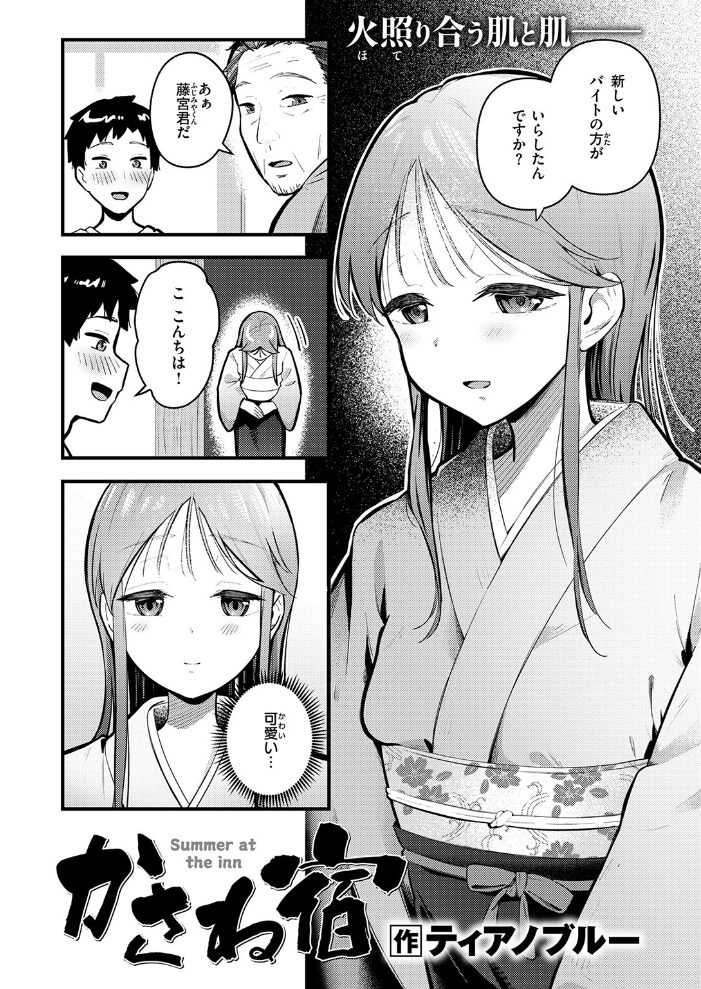 かさね宿  ティアノブルー サンプル画像