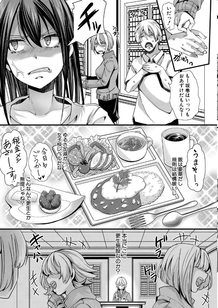 少女A矯正交尾 -人生舐めプ中のメスに肉棒で再教育しちゃいました-【FANZA特装版】  hal サンプル画像